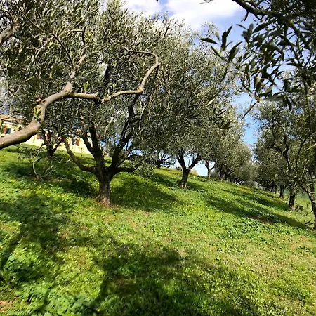 Апартаменти Charming Historic Hideaway With Stunning Pool *