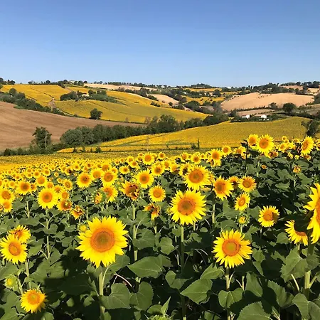 Charming Historic Hideaway With Stunning Pool Apartment *