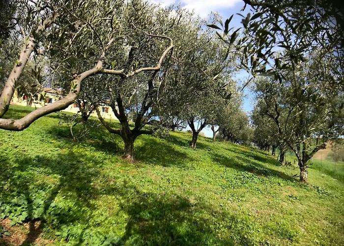 Appartement Charming Historic Hideaway With Stunning Pool *