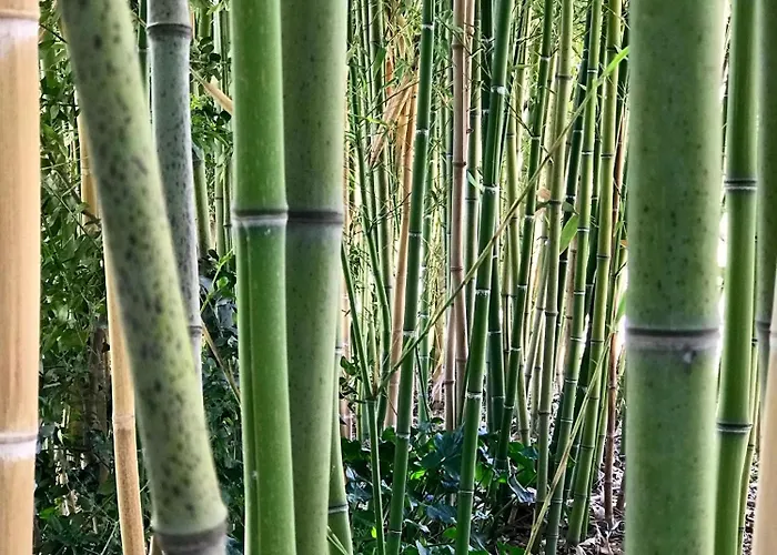 Appartement Charming Historic Hideaway With Stunning Pool *